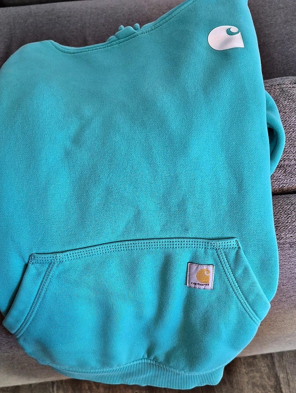 Carhartt Force Relaxed Fit Lightweight Logo Graphic Hoodie